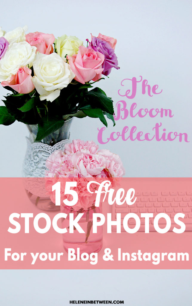 15 Free Stock Photos: The Bloom Collection