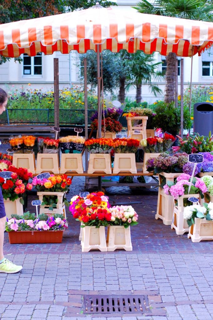 Moving Across the World Helene in Between