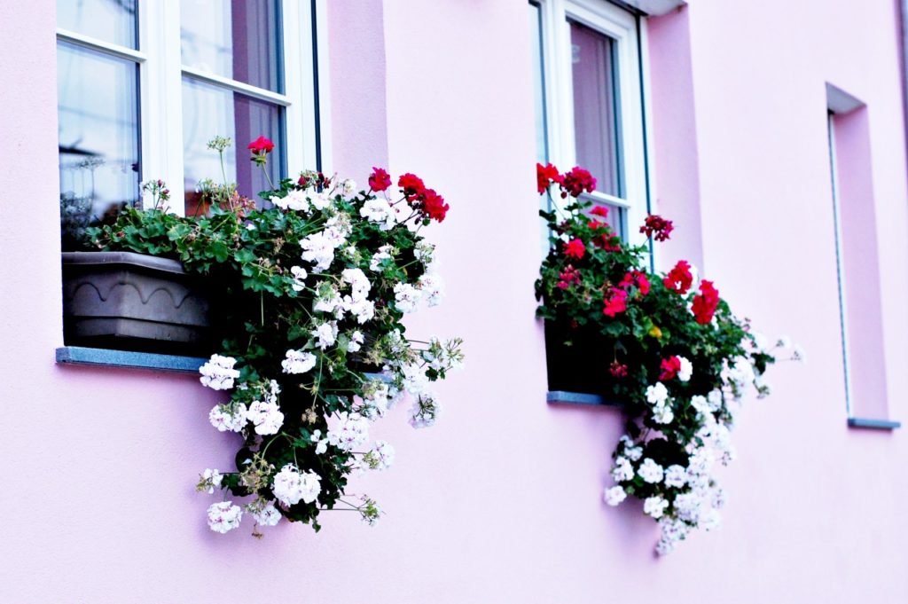 pinkhouseheidelberg