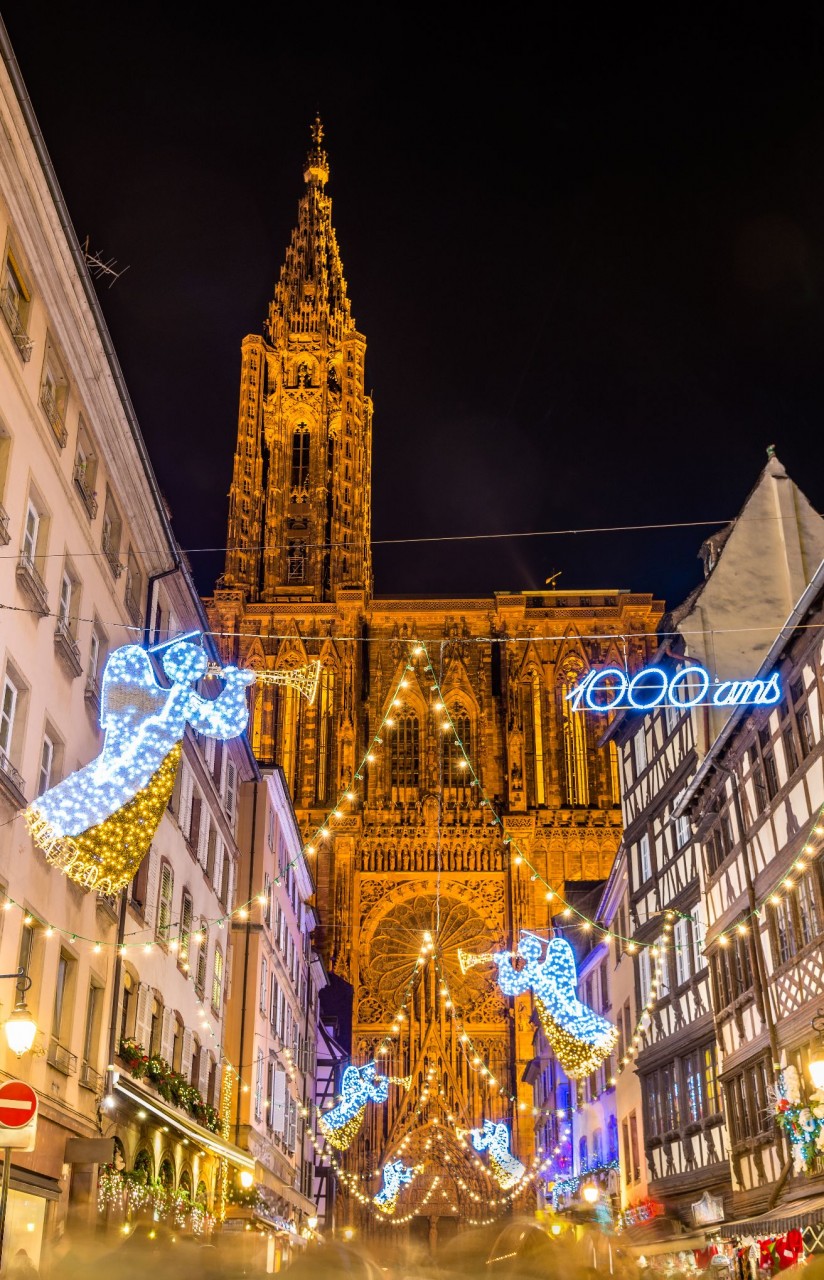 strasbourg france cathedral christmas