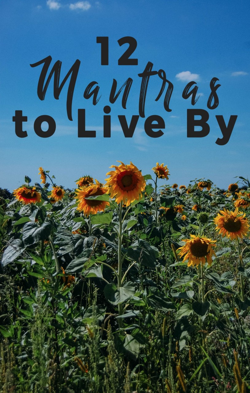 12 Mantras to live by. You know the quote: “Don’t look back, you aren’t going that way”? I despise it. Looking back is how we learn. It’s how we are able to grow. Reflecting back is a big part of my life. I love to savor the moments. It’s part of my mantras I live by. #mantras #motivation #selfimprovement