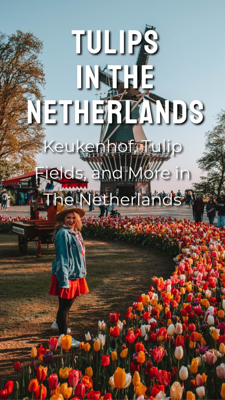 Ultimate Guide to Tulips in Holland - Keukenhof, Tulip Fields, and More ...