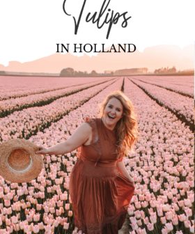 Ultimate Guide to Tulips in Holland – Keukenhof, Tulip Fields, and More in The Netherlands