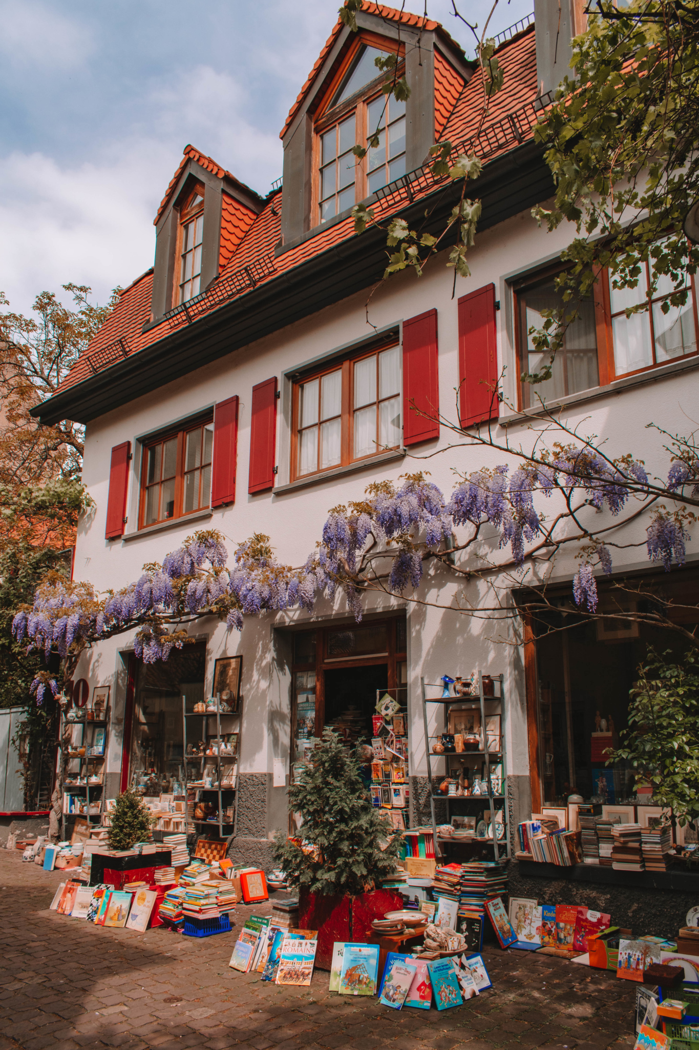 Heidelberg Germany blooms