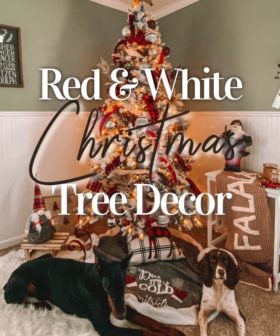Red and White Christmas Tree Decor + Christmas Themed Gifts
