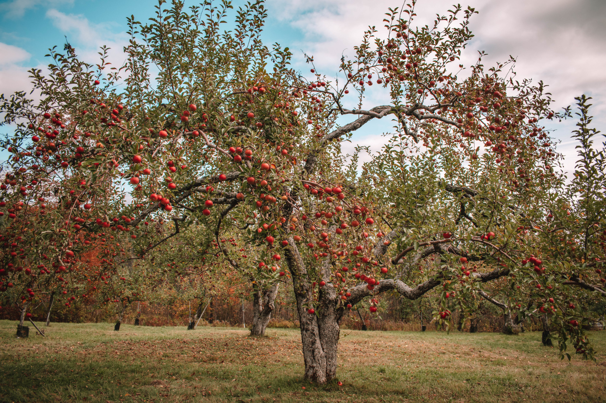 connecticut towns to visit in fall