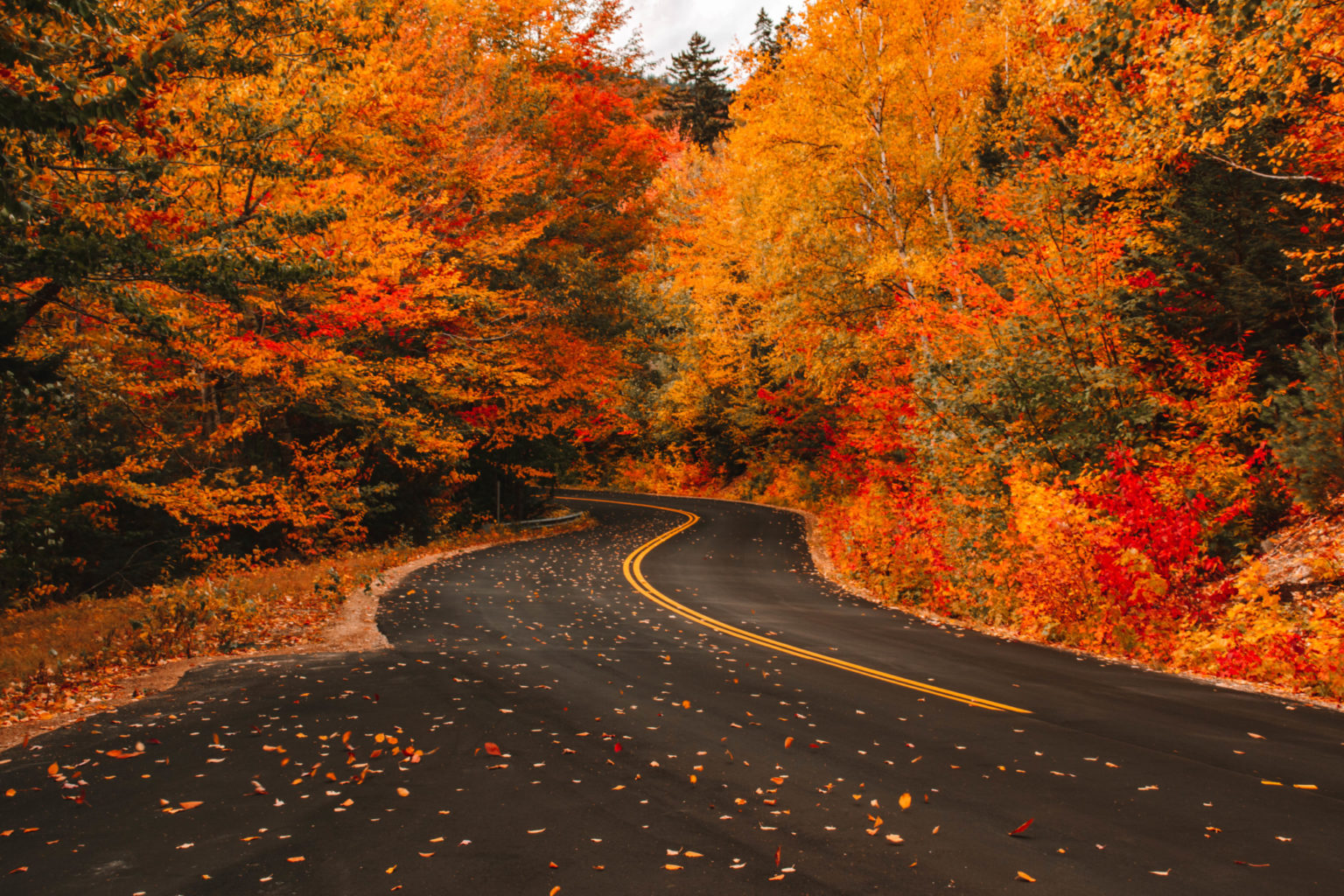 The Perfect New England Fall Road Trip Itinerary for Leaf Peeping