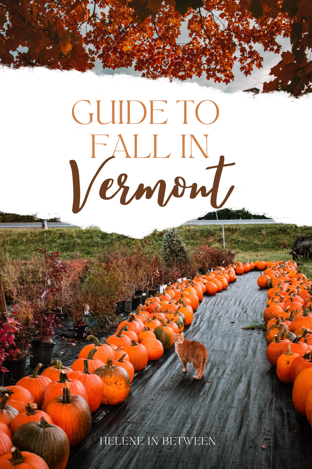 guide to fall in vermont