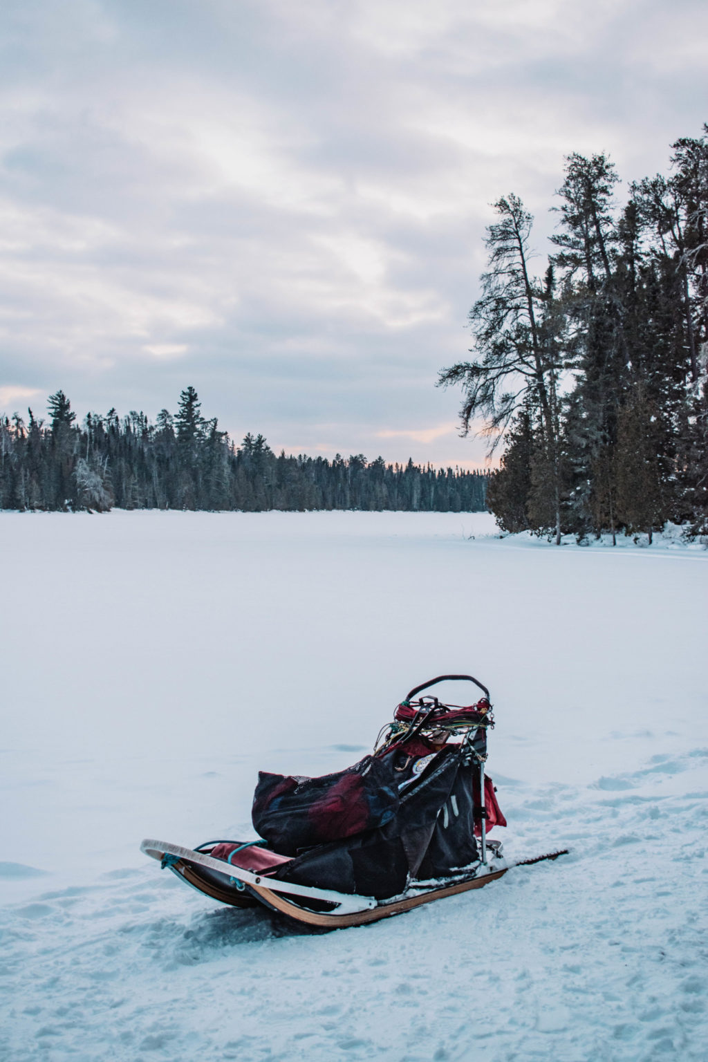 Dog Sledding in Ely, Minnesota Helene in Between