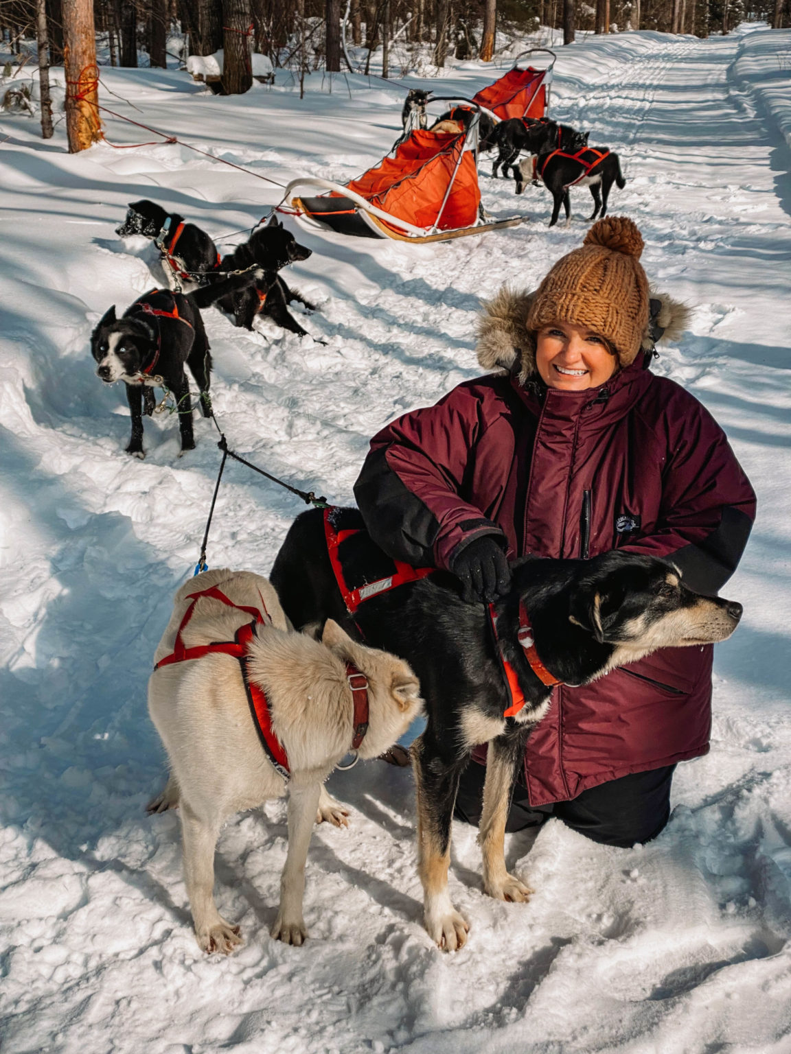 Dog Sledding in Ely, Minnesota Helene in Between
