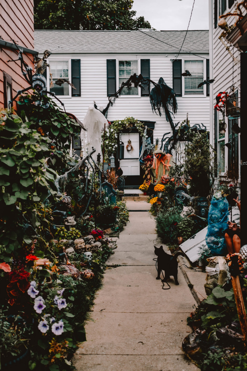 Best Things to Do in Salem, Massachusetts (During Halloween!) Helene