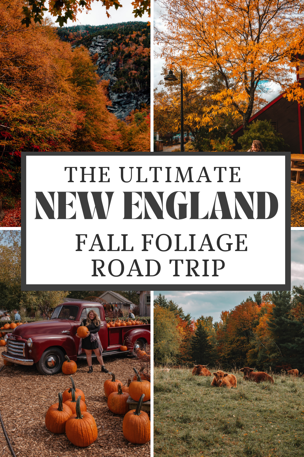 Road trip ready: Best New England Fall road trip essentials 2023